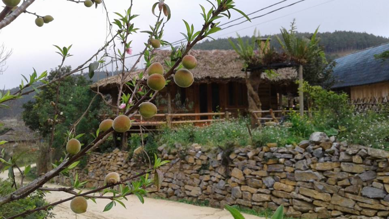 A Chu Homestay (2)